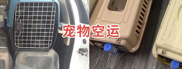 这是描述信息