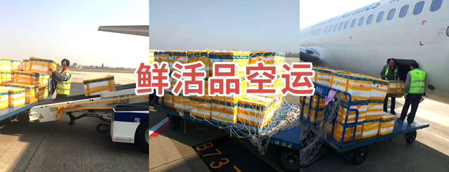 这是描述信息